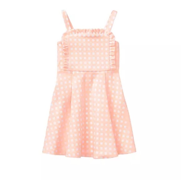 Janie and Jack Other - Janie and jack checkered ruffle pink print dress 12-18 months